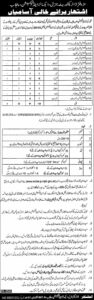 Punjab-excise-and-taxation-jobs-2024