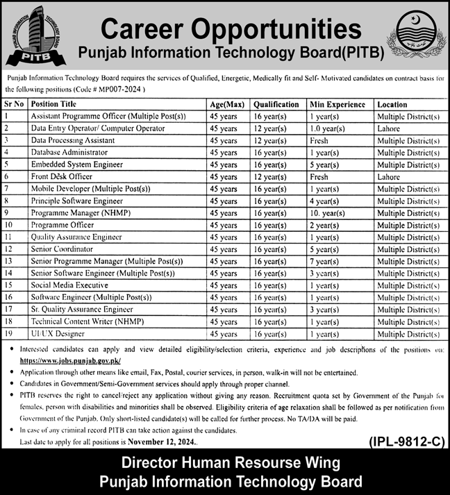 Punjab-Information-technology-board-jobs-2024