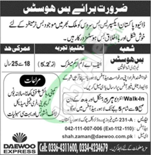 Daewoo Express Jobs 2025