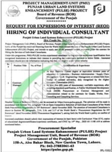 Board of Revenue Punjab Jobs 2025