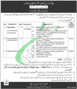 Jobs in Punjab Rangers 2025