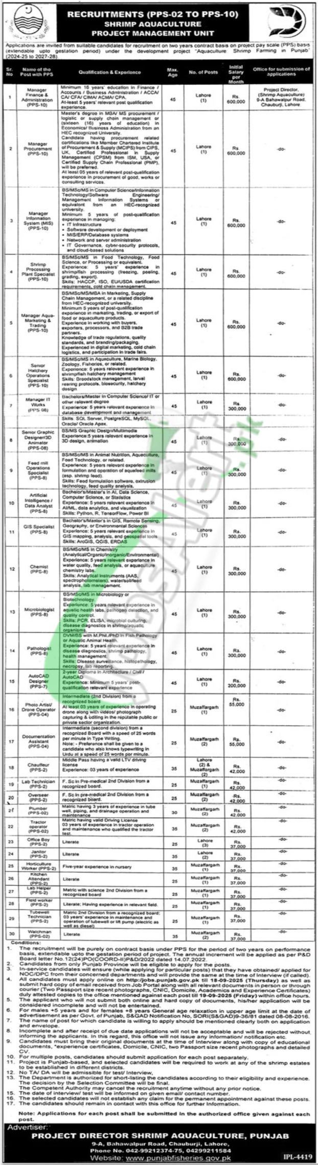 Fisheries Department Punjab Jobs 2025