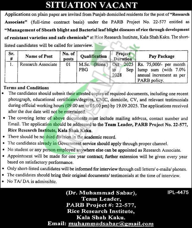 Punjab Agriculture Research Board Jobs 2025