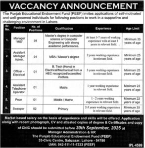 Punjab Educational Endowment Fund Jobs 2025